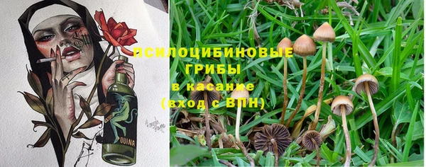 кокаин перу Абаза