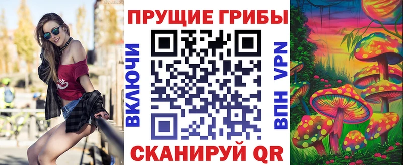 Галлюциногенные грибы MAGIC MUSHROOMS  shop наркотические препараты  Южа 